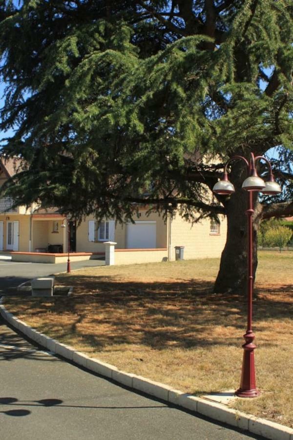 Logement entre Chambord et le zoo de Beauval Appartement Contres  Buitenkant foto
